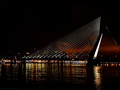 Picture of the Erasmus Bridge at Rotterdam.